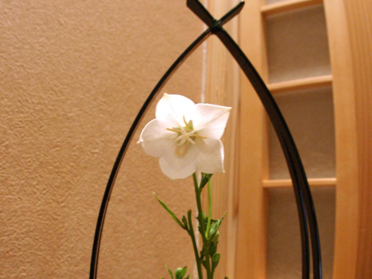 Ryokan Shinsen Takachiho Esterno foto